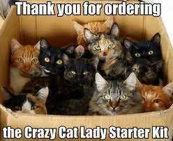 Crazy lady starter kit.webp