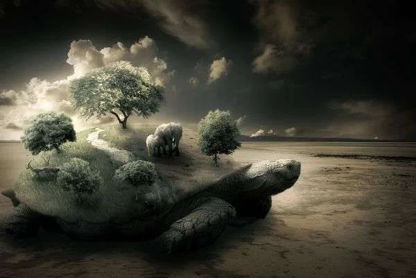 Create-a-Surreal-Turtle-Image.webp