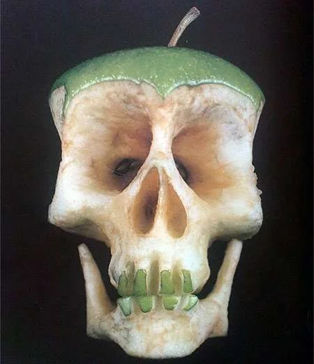 creaton of food5.webp