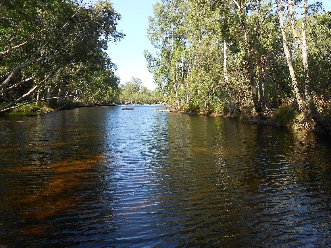 Creek 1.webp
