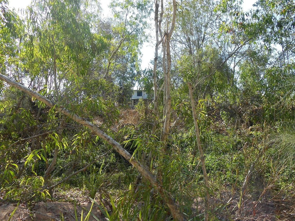Creek-house.webp