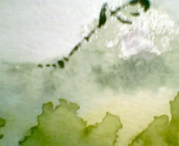 Crickets n Froggies Close-up.webp