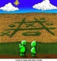 crop circles.webp