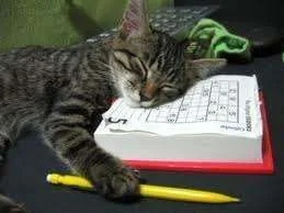 crossword kitty.webp