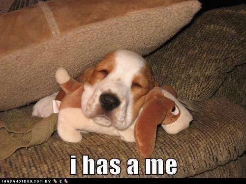 cutdog.webp