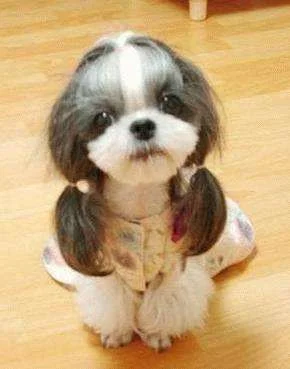 cute 1.webp