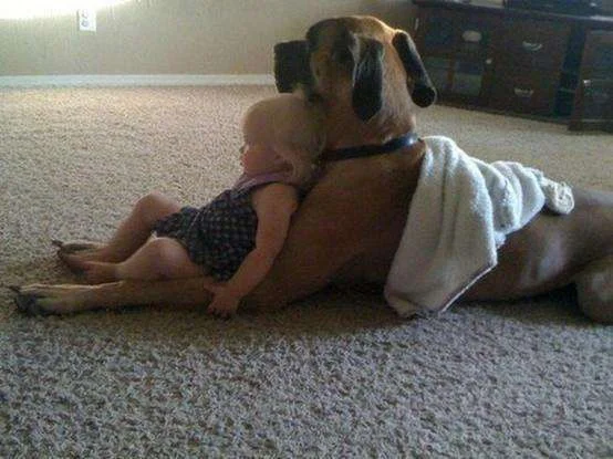 cute 22.webp