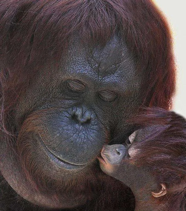 cute 3.webp