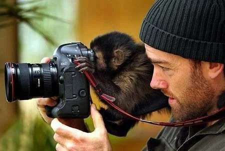 cute 4.webp