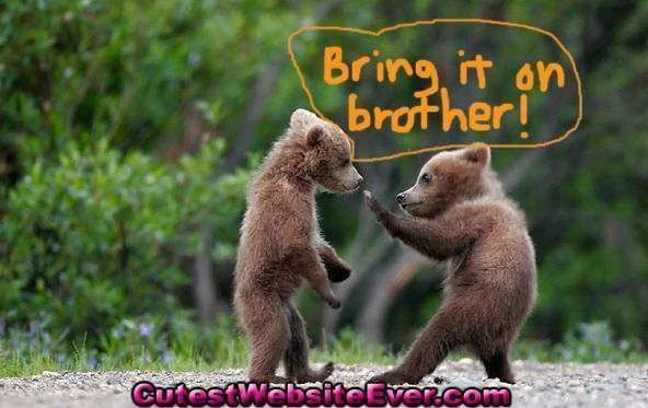 cute-images6.webp