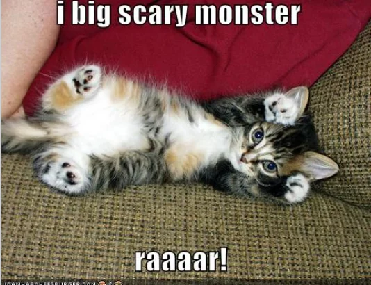 cute kitten with saying about being a monster.webp