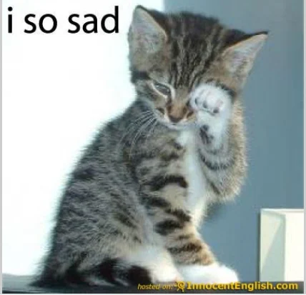 cute kitten with saying.webp