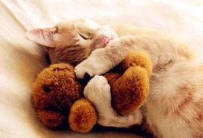 cute1.webp