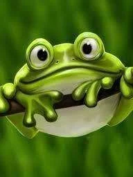 cutefrog.webp