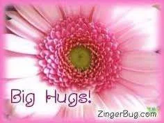 daisy hug.webp