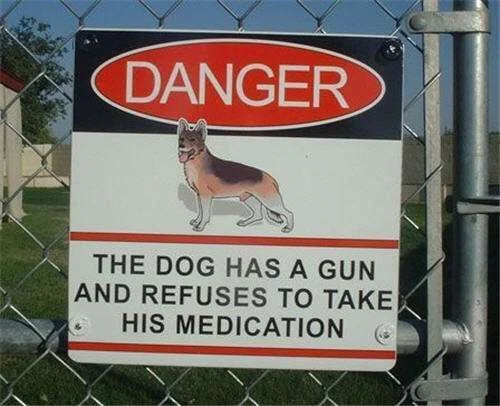 danger-dog-funny-picture.webp