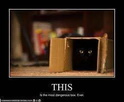 Dangerous box.webp