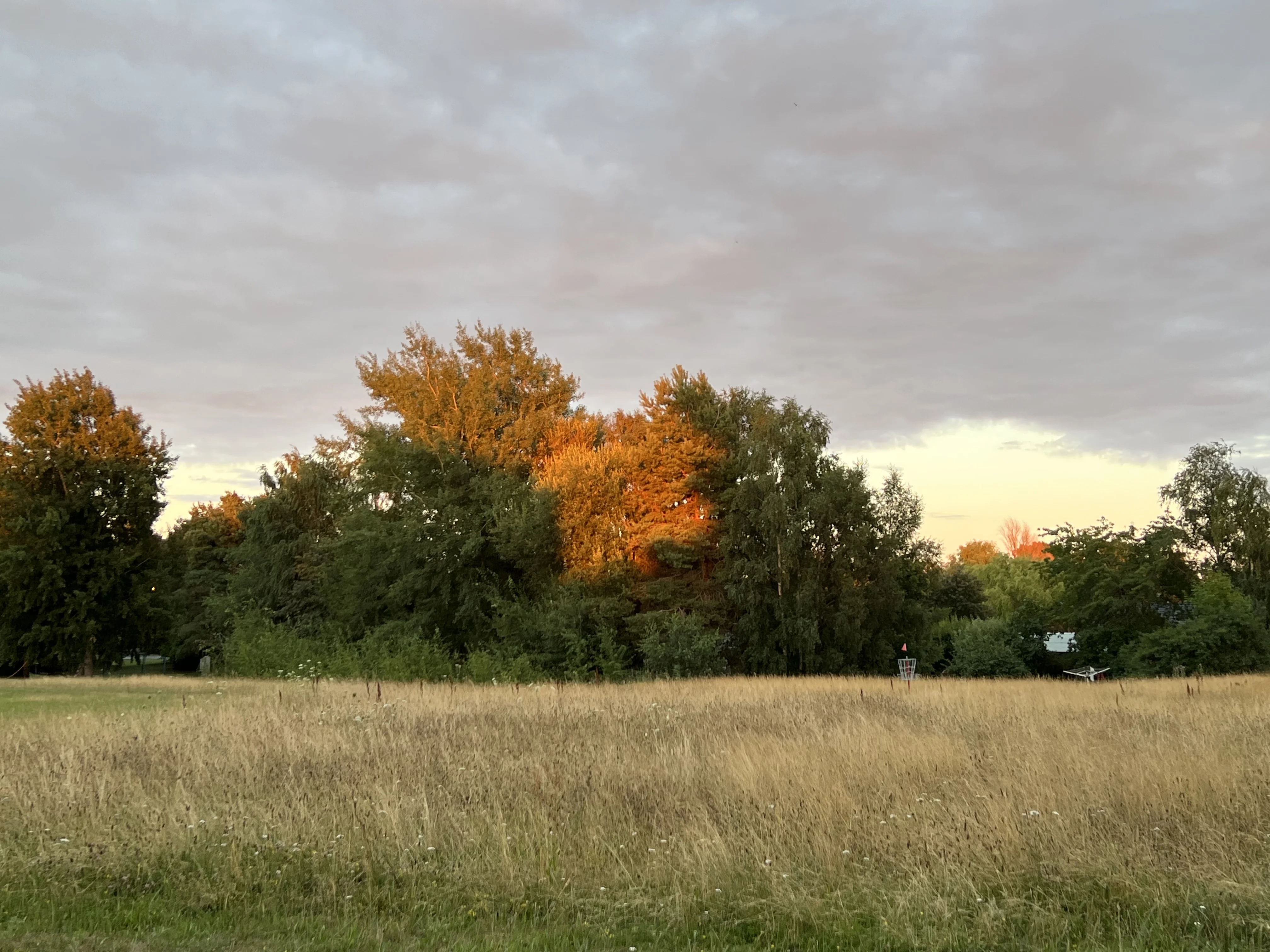 DDA282E0-B3D4-4227-AB8F-D17AFAA73528.webp