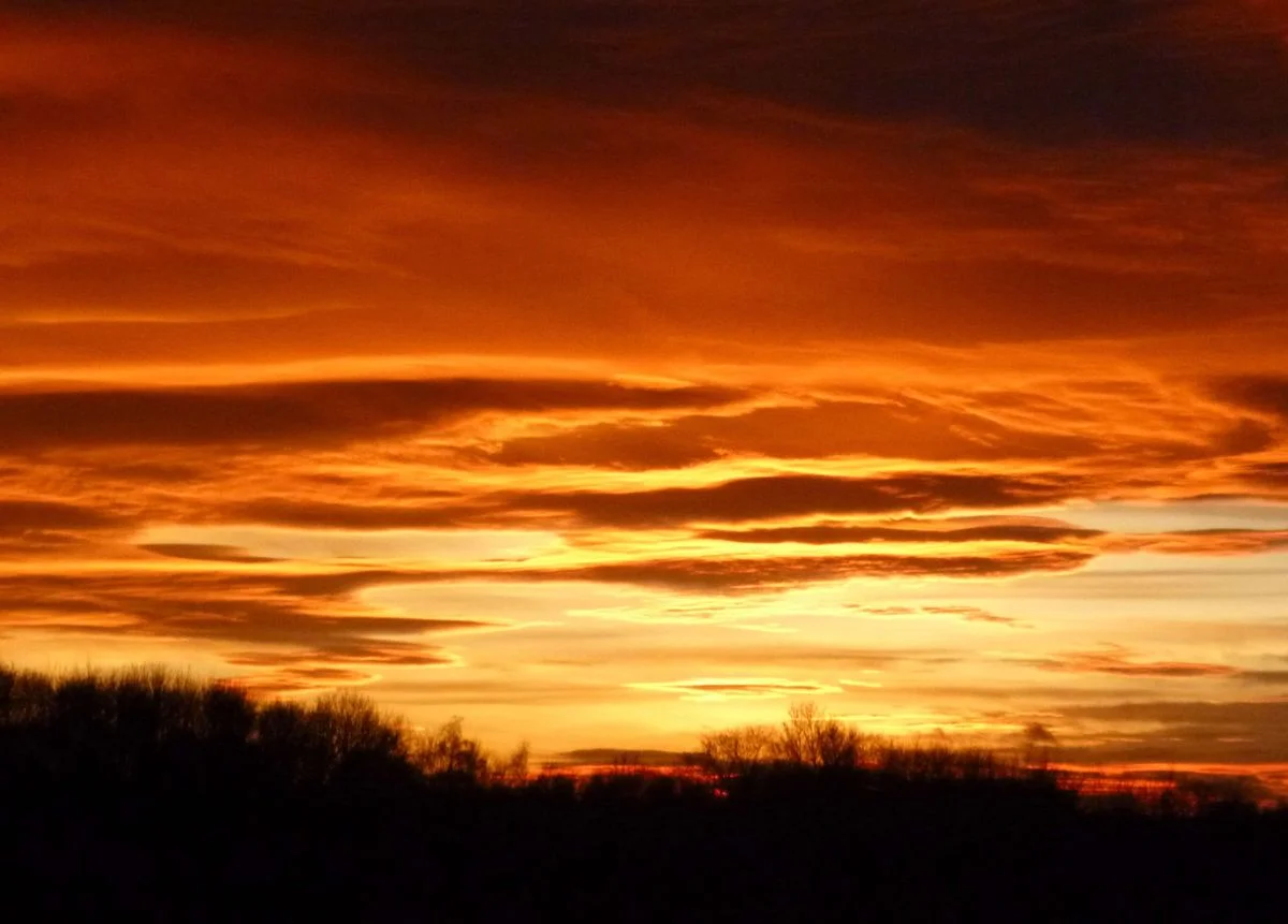 Dec 13 Nr Doncaster.webp