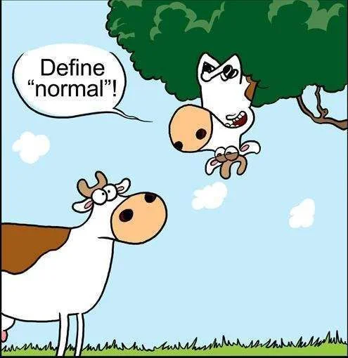 define_normal.webp