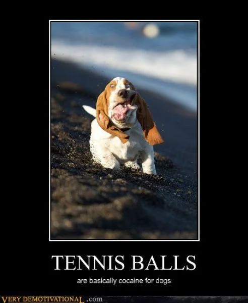 demotivational-posters-28.webp