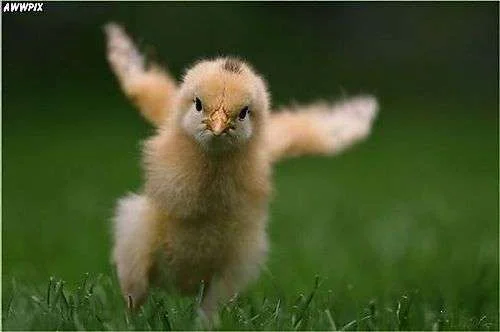 determined.webp
