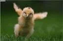 determined2.webp