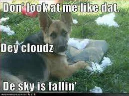 dez clouds.webp