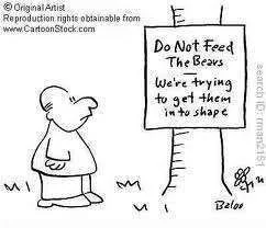 diet bears.webp