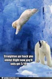 Diving lessons.webp