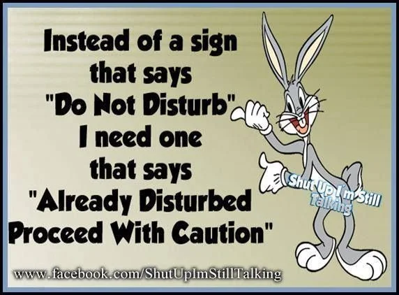 Do not disturb.webp
