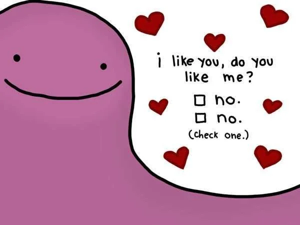 do-you-like-me-no-or-no.webp