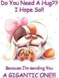 Do you need a hug.webp