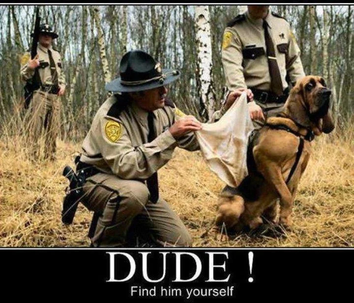 Dog ain\'t haven it.webp