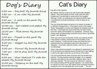 DOG-CAT.webp