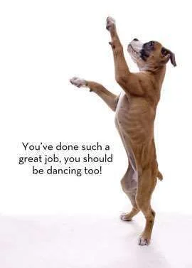 dog-congratulations.webp