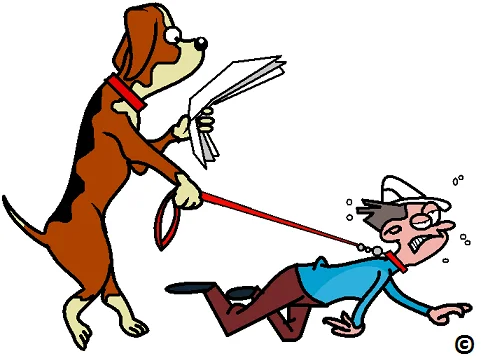 dog-taking-his-human-for-a-walk.webp