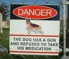Dog with a gun.webp