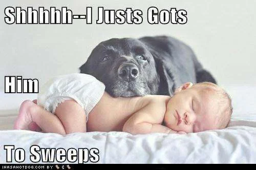 dogbaby1.webp