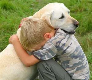 doghug.webp
