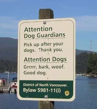 dogs.webp