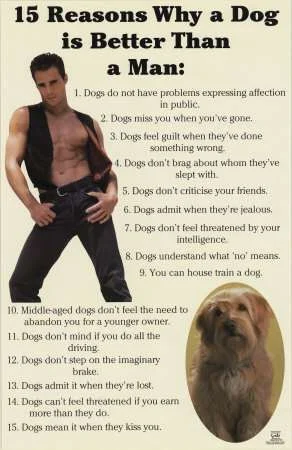 dogs.webp