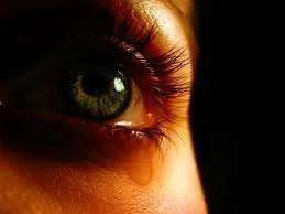 Dont-be-Mistreated.webp