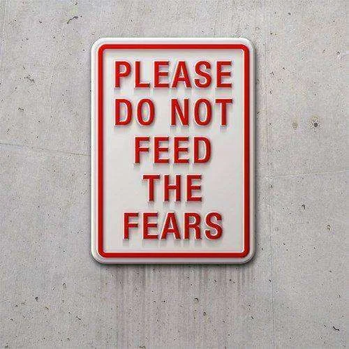 Don't feed the fear.webp