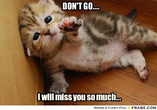 Dont-go-I-will-miss-you-so-much.webp