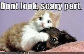 Dont look scary.webp