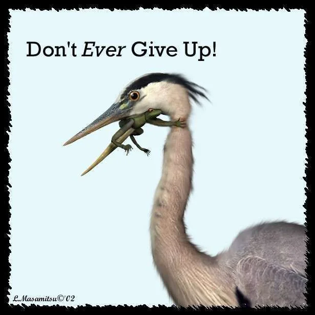 dontgiveup.webp