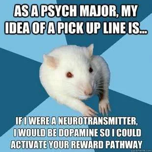 dopamine.webp