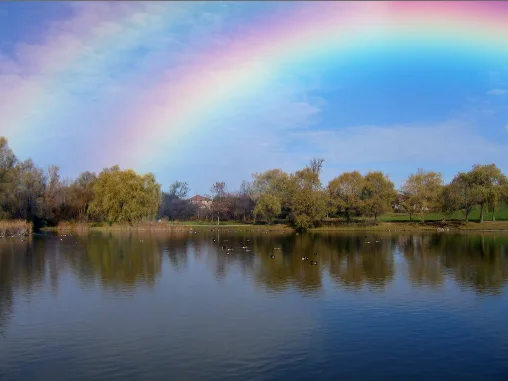 double rainbow.webp