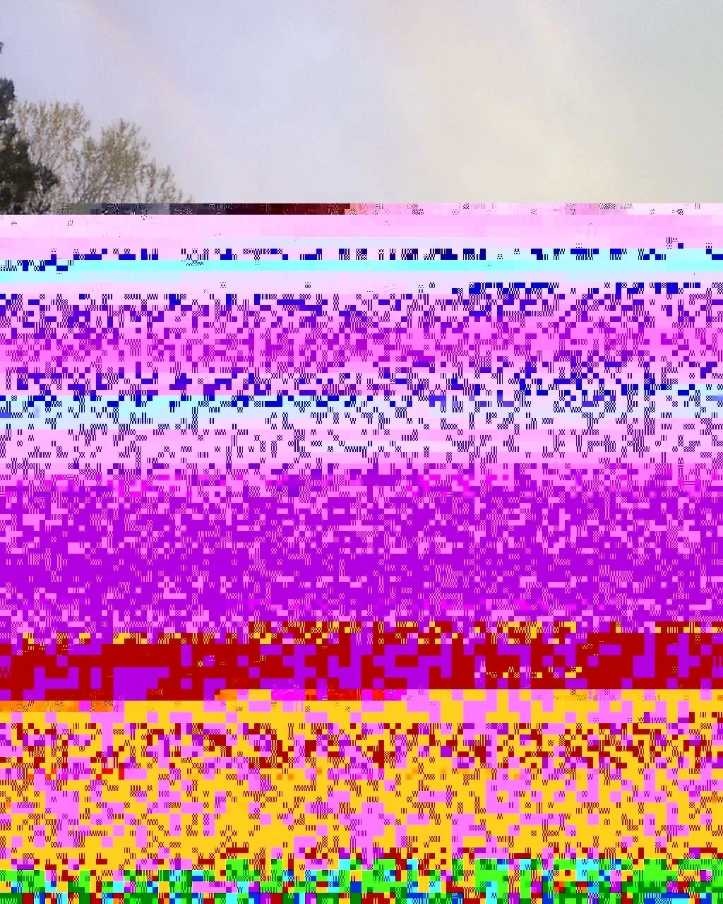 Double Rainbow.webp